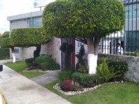 /album/fotogaleria-jardineria-y-paisajismo/images-22-jpg/